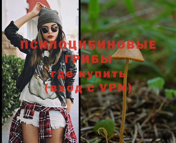 а пвп мука Вязьма